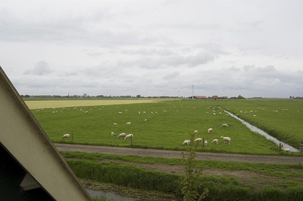B&B En Vakantiehuisje Ursula Workum Kültér fotó